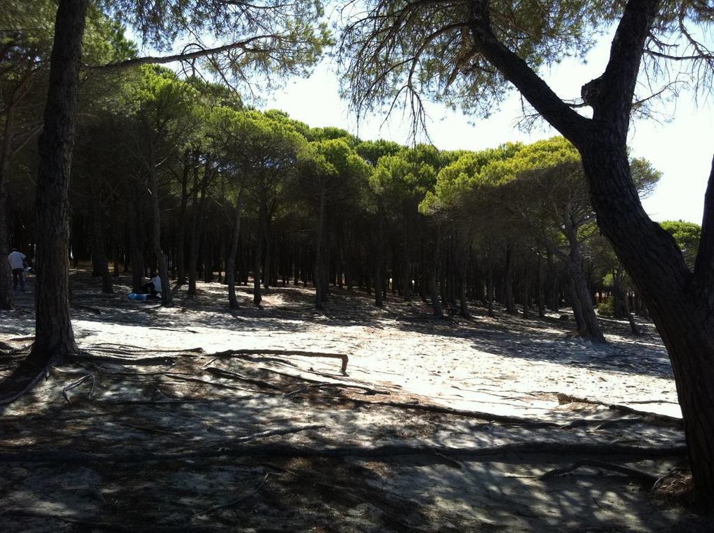 Case Vacanze Budoni Beach Oda fotoğraf